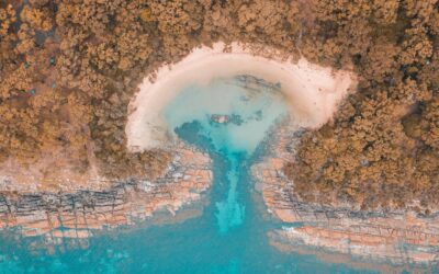 Long-sought environmental law reform is finally here. But will the compromise deal actually protect nature?