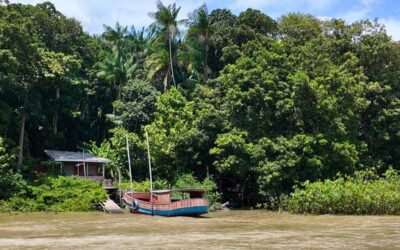 On Brazil’s Combu Island, chocolate makers hold clues to climate action