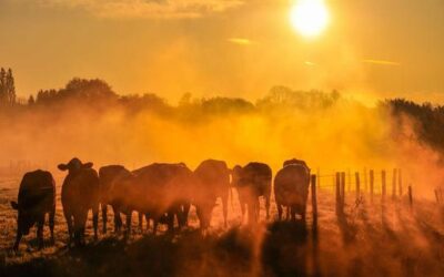 UN chief urges world leaders to drive down global warming