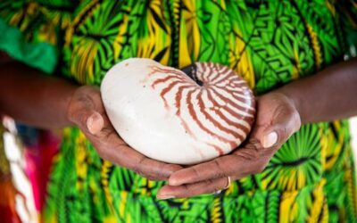 Five climate trailblazers: UNEP’S 2025 Champions of the Earth