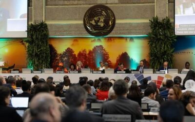 UN environment assembly wraps up in Nairobi