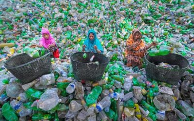 A sustainable future requires new thinking: UN environment report