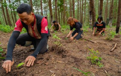 Why restoring nature can work so much more effectively when led by local people