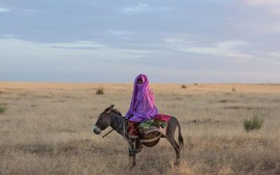 Over a billion fear losing land and homes within five years