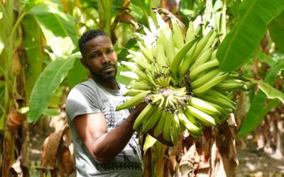 Shockwaves of Middle East war reach Caribbean as food prices soar