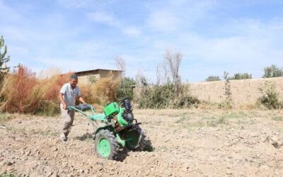 Extreme heat pushing global food systems to the brink, UN agencies warn