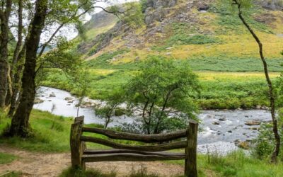 Nature restoration isn’t often top of the political agenda – here’s how Wales does it