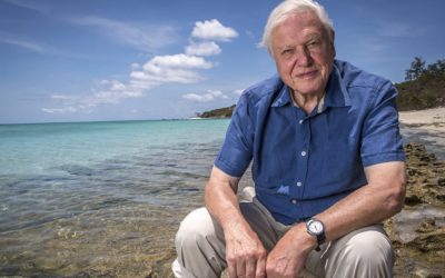 From fossicking for fossils to a champion for life on Earth: Sir David Attenborough at 100