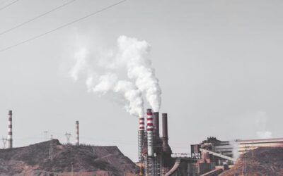General Assembly backs historic World Court climate crisis ruling