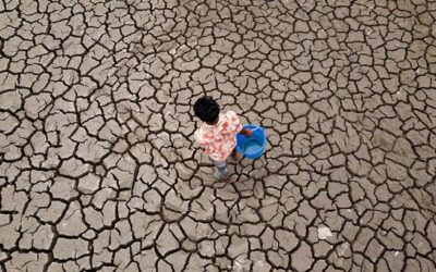 Global temperatures set to stay near record levels: UN weather agency
