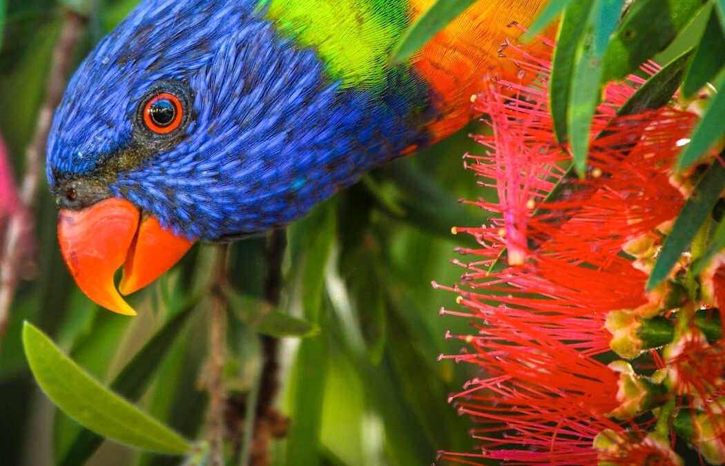 800 visits to a suburban park: inside an epic 40-year birdwatching quest