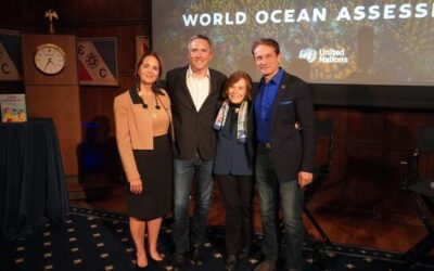 World Ocean Assessment highlights urgent need for science and global action
