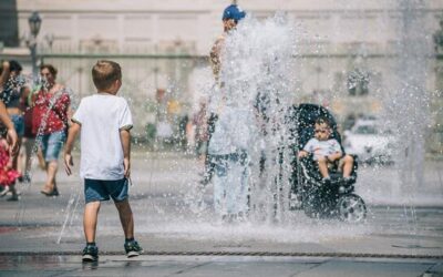 Europe heatwave breaks records as UN agencies ramp up health warnings