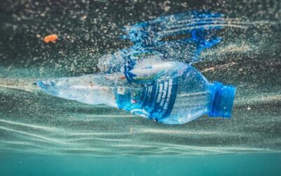 Five things you need to know about ocean plastics