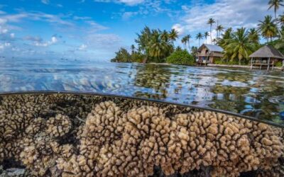 Humanity’s future depends on protecting the rapidly changing ocean