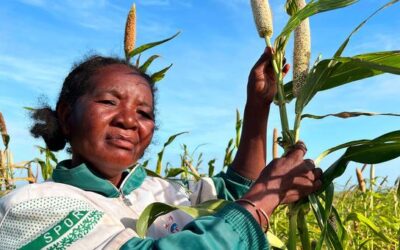 Climate shocks accelerating as El Niño threat looms over already vulnerable regions