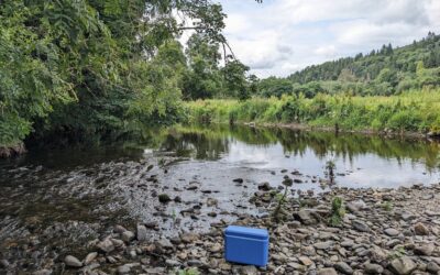Fishing for DNA – how a cup of river water can reveal secrets about human health, pollution and biodiversity