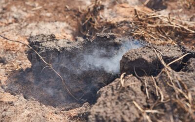 Fire can destroy peatlands. But in Australia, it can also help protect them