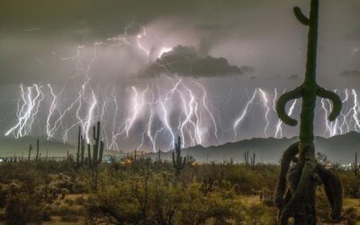 Strong El Niño ahead, UN weather agency warns