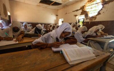 World News in Brief: Risk of atrocities in Sudan, UN programme prevents climate displacement, more civilians killed in Ukraine
