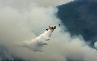 Wildfires: Prevention is the best defence, UN says