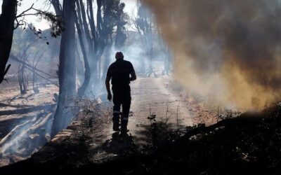 Wildfire smoke poses hidden health threat