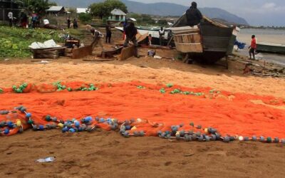 ‘The lake is our life’: Protecting a shared lifeline in Uganda