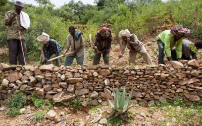 Protecting our ‘most vital infrastructure’: Pushing back on desertification