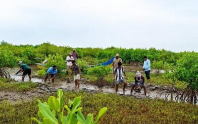 Africans bear the brunt of biodiversity loss