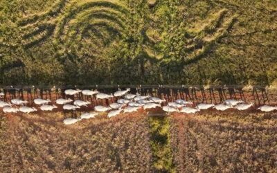 Land models sprout as degradation threatens billions of livelihoods