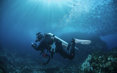We’re not protecting our oceans as well as we think: new research