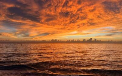 The world just had the hottest August ever