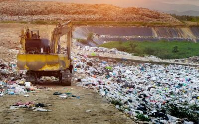 Highly persistent toxic waste threatens ‘many, if not all, human rights’