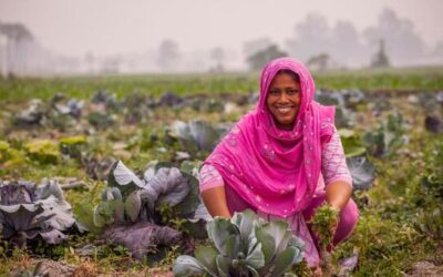 Why climate action now comes down to speed, finance and cooperation