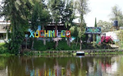 ‘He felt heard’: How a film brought a UN report to life in Xochimilco