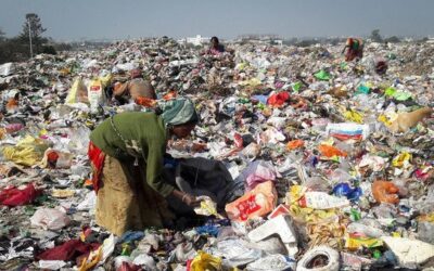 Rotting food waste emits 5 times more greenhouse gases than planes