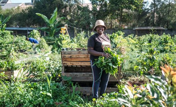 Soil mapping aims to boost agricultural production in Kenya